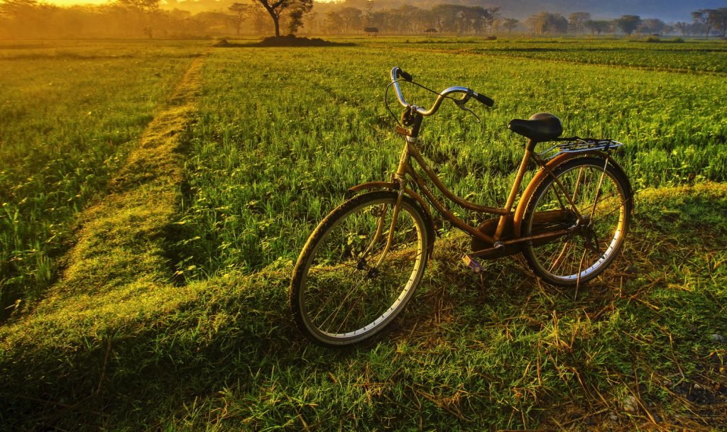 Alleppey Backwater Houseboat Tour with Cycling