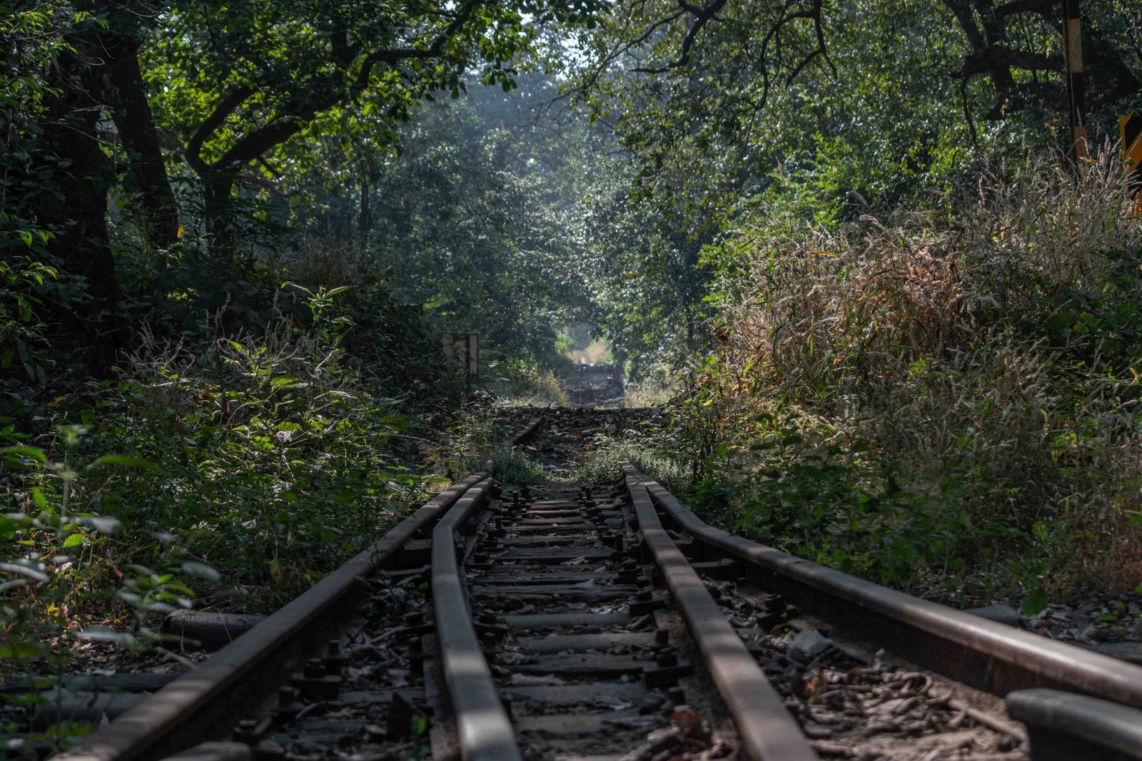 Train Travel in Kerala