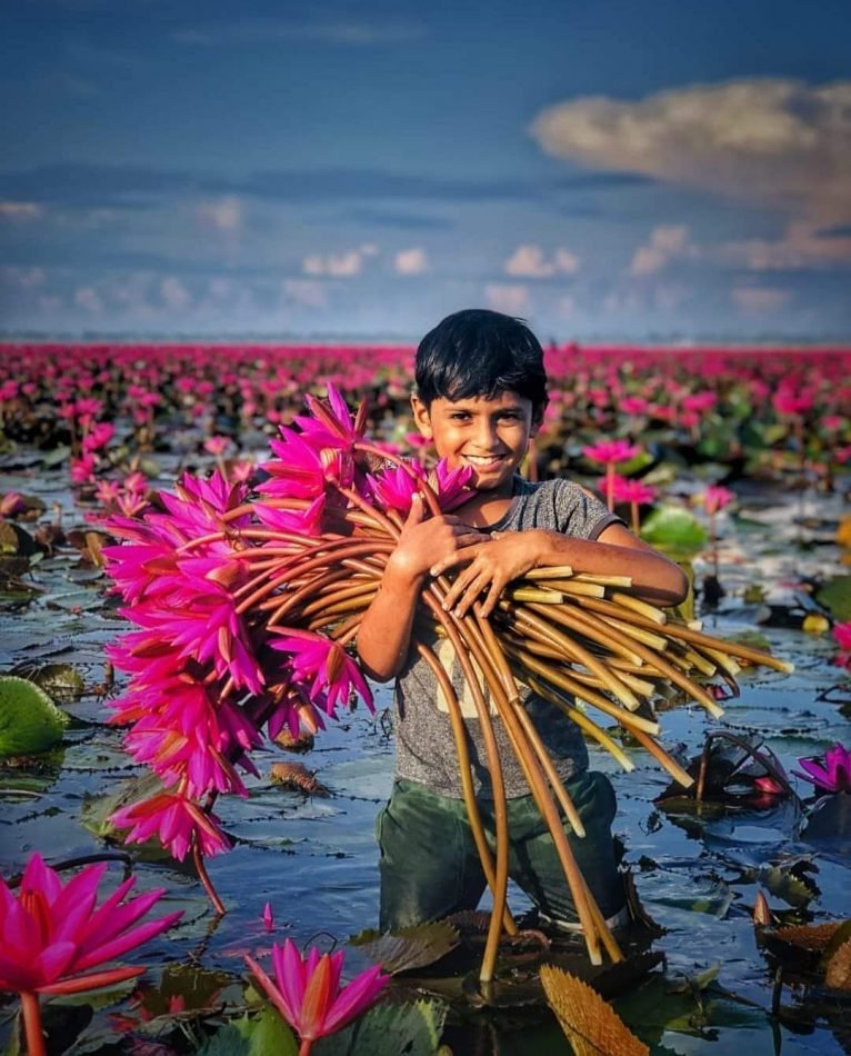 alleppey backwater tourism